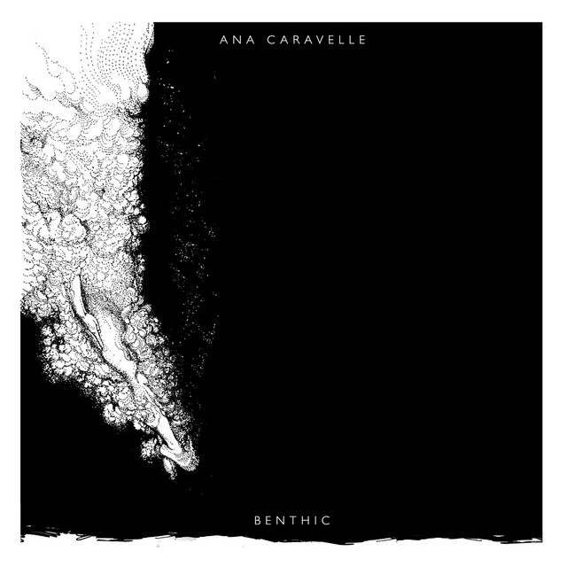 Benthic cover art
