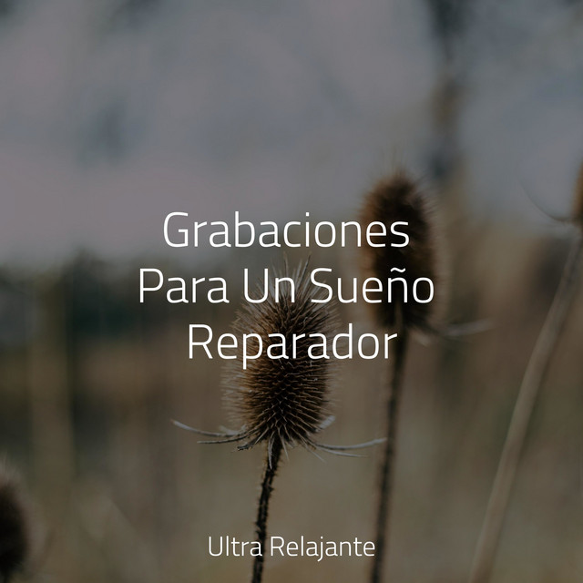 Bajando Al Río