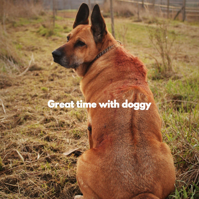 Great time with doggy cover art