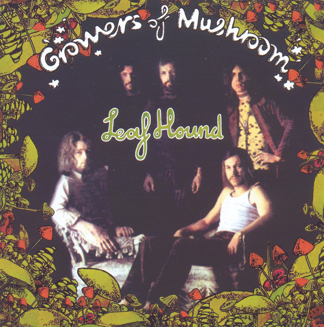 Growers Of Mushrooms cover art
