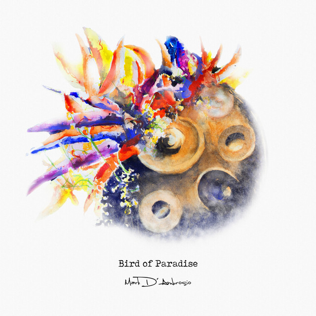 Bird of Paradise cover