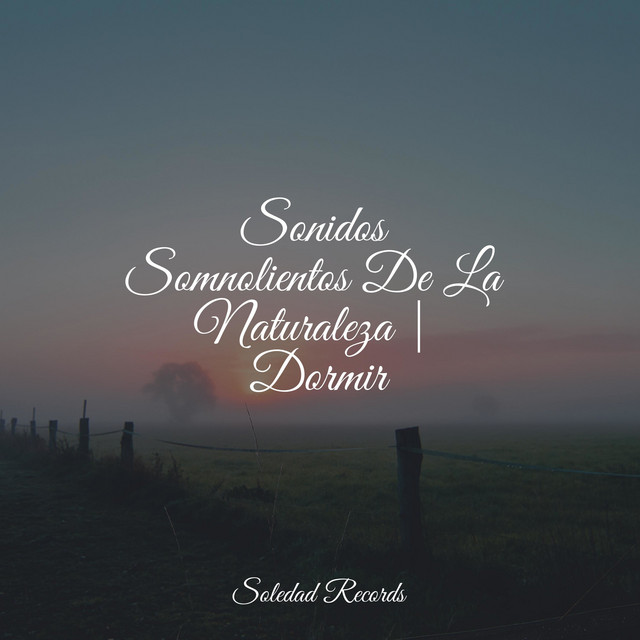 Sonidos Somnolientos De La Naturaleza | Dormir