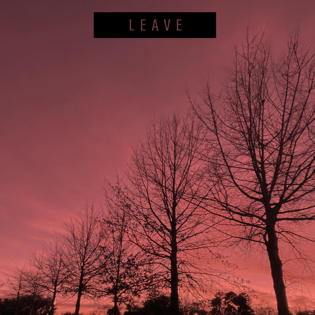 LEAVE cover art