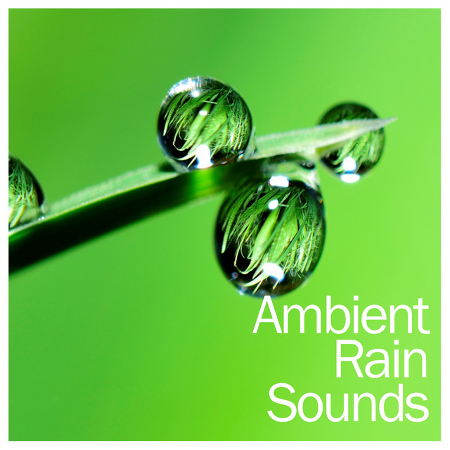14 Ambient Rain Sounds - Calming Sounds of Mother Nature cover art