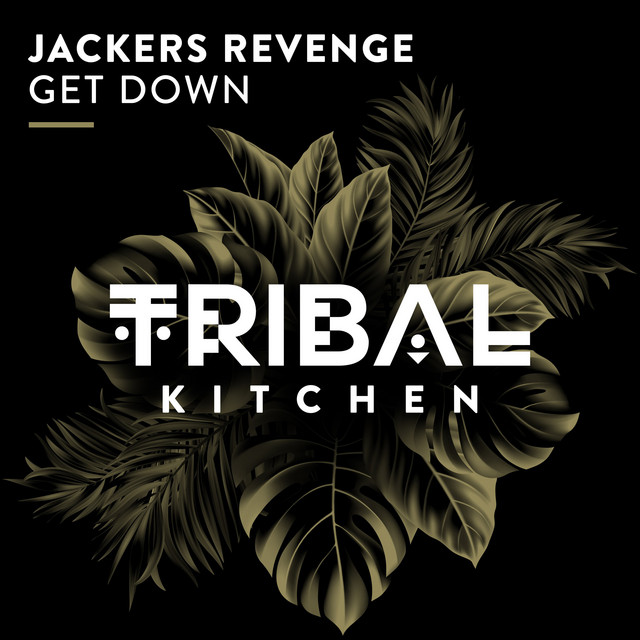 Get Down - Extended Mix album art