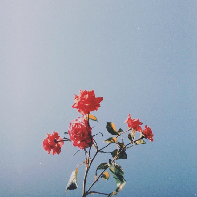 Last Love 5 cover art