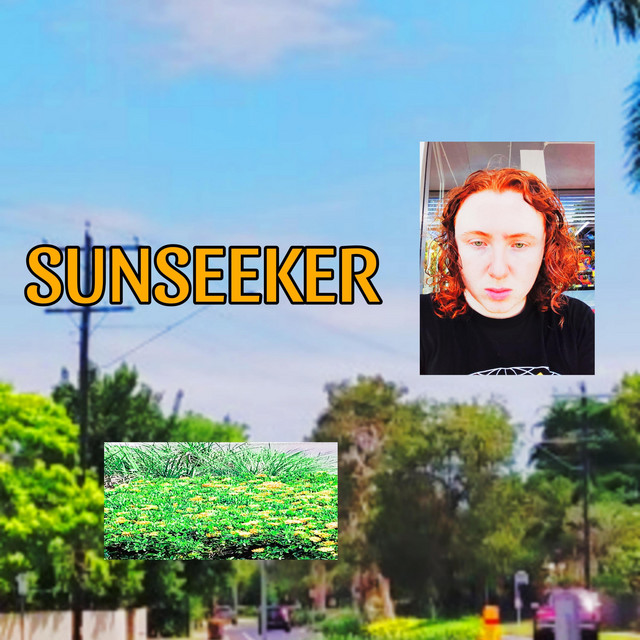 SUNSEEKER cover art