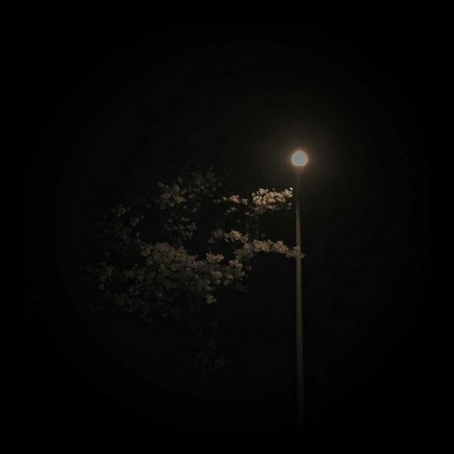 Abience cover art