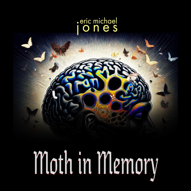 Moth In Memory cover