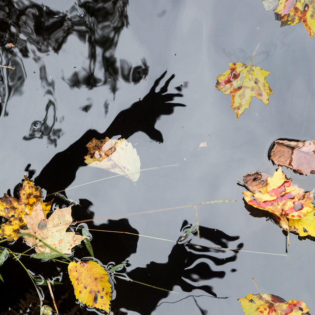 Dying in Deep River cover art