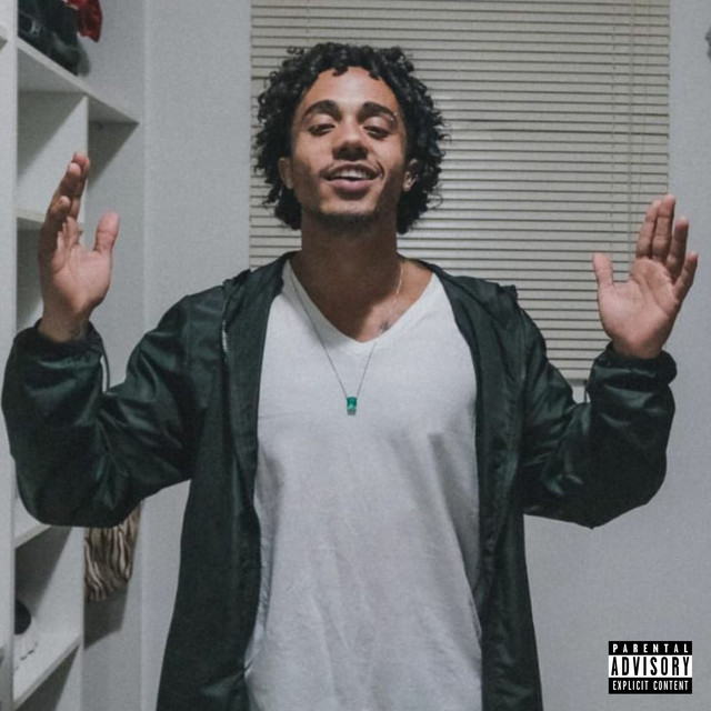 Plug cover art