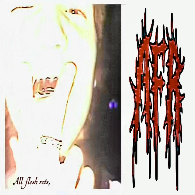 ALL FLESH ROTS cover art
