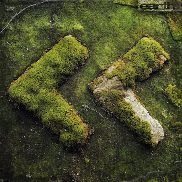 Xenofish cover art