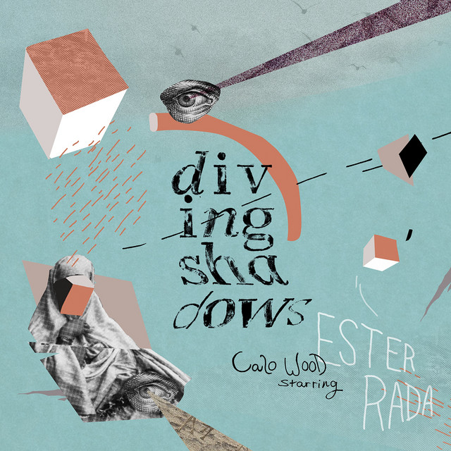 Diving Shadows cover art