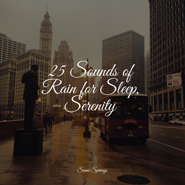25 Sounds of Rain for Sleep, Serenity - Album by White Noise Baby Sleep ...