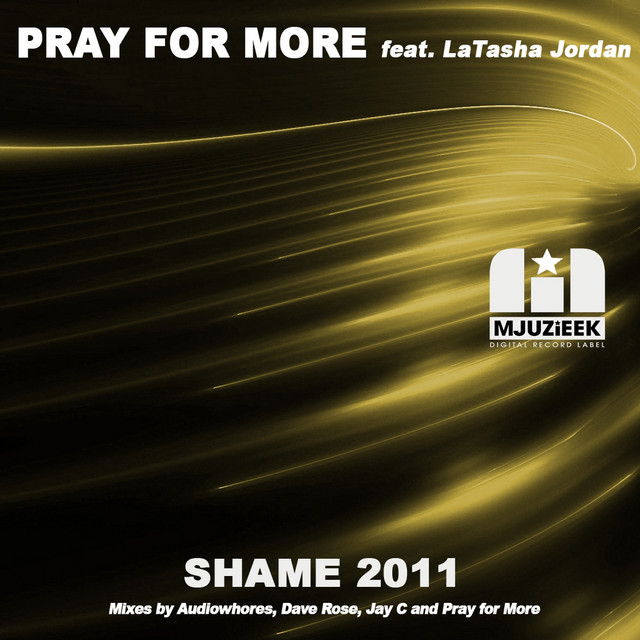 Shame 2011 cover art