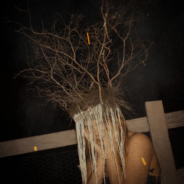 Hole In Her Head cover art