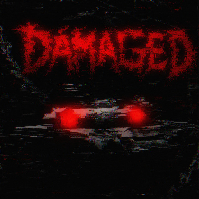 Обкладинка NeXcelenty — DAMAGED