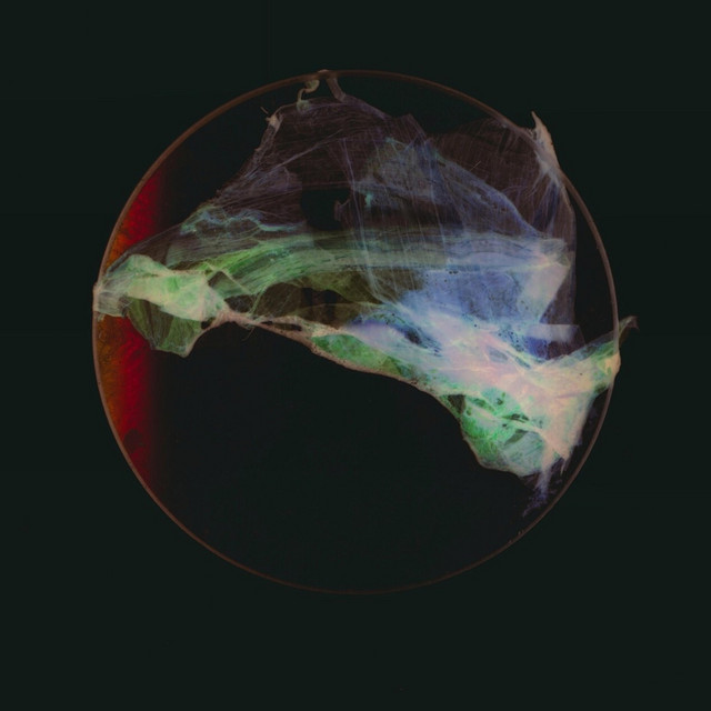 Heartbeat cover
