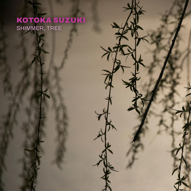 Kotoka Suzuki