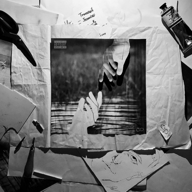 Trosečník cover art