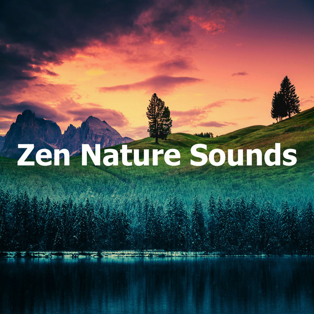 Zen Nature Sounds - Album by Baltic Nature Sounds | Spotify