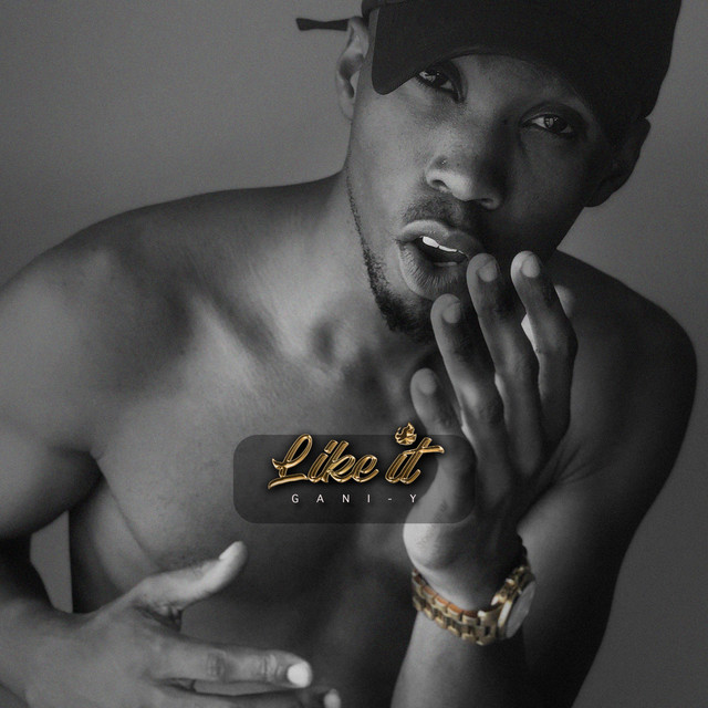 Like It - Single by Gani-Y | Spotify