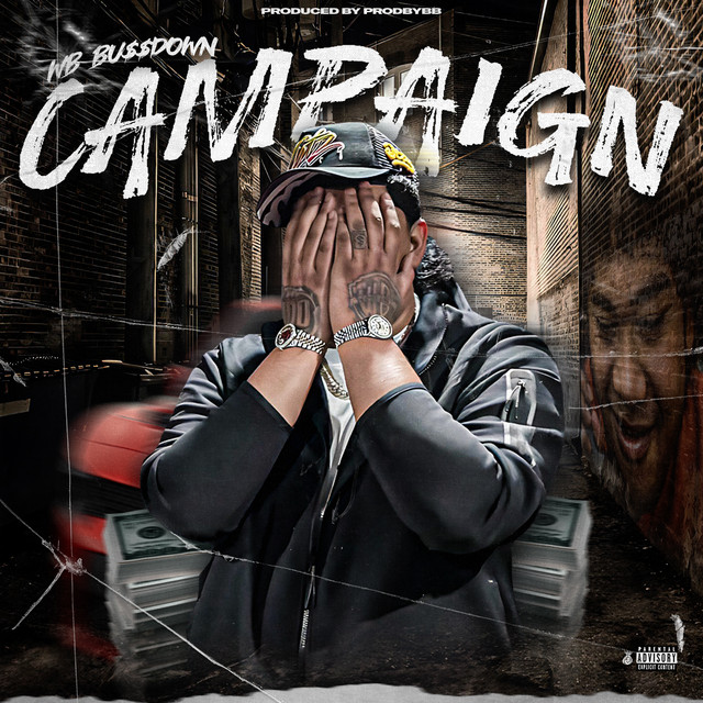 Campaign cover art