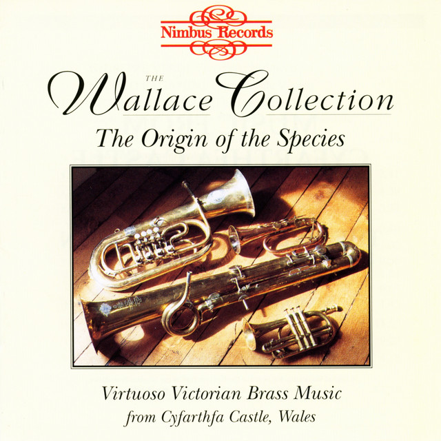 The Wallace Collection: The Origin of the Species — The Wallace Collection