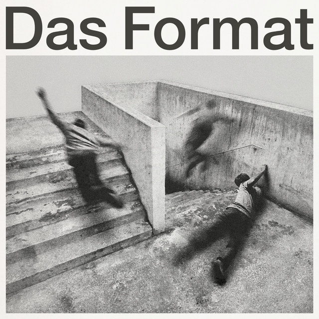 Das Format cover art