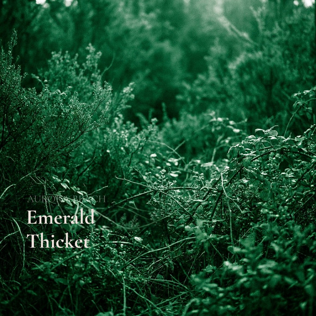 Emerald Thicket by Aurora Beach