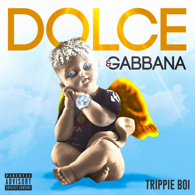 Dolce Gabbana cover