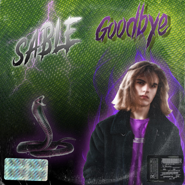 Обкладинка: Goodbye — Sable