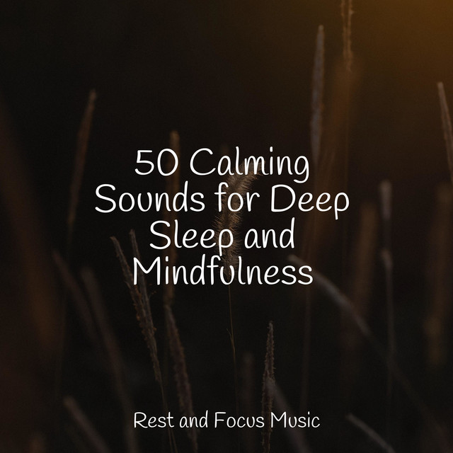 50 Calming Sounds for Deep Sleep and Mindfulness - Album by Musica Para ...