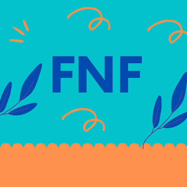 FNF vol 2 (Guitar Version) cover art