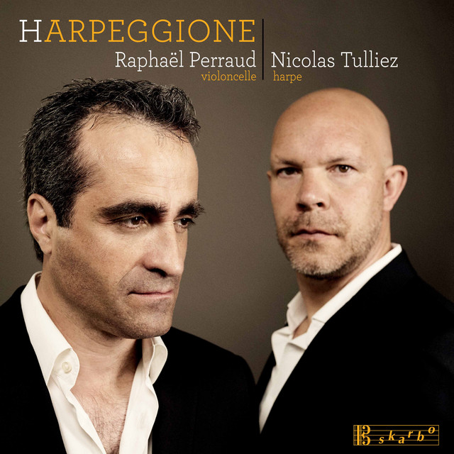 Harpeggione cover art