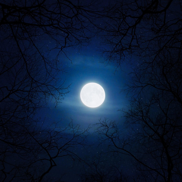 Moon cover art