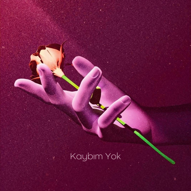 Kaybım Yok