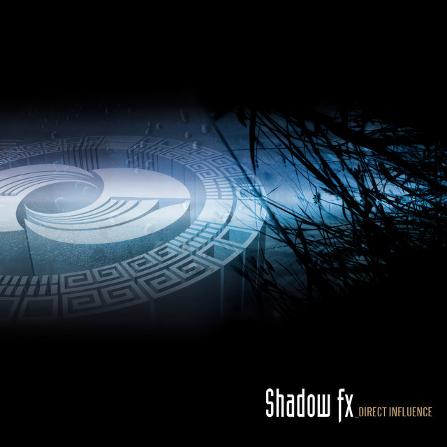 Direct Influence cover