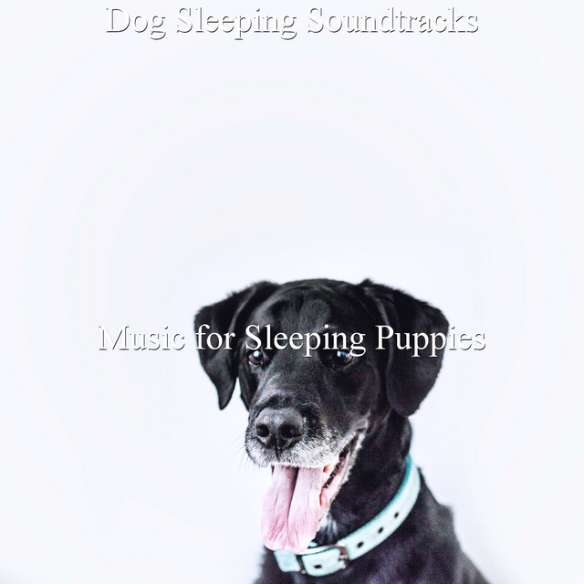 Dog Sleeping Soundtracks cover art
