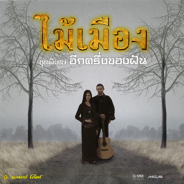ชุดพิเศษ อีกครึ่งของฝัน cover art