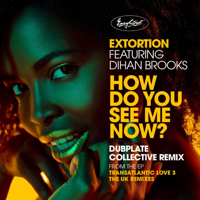 How Do You See Me Now? (Dubplate Collective Remixes) cover art