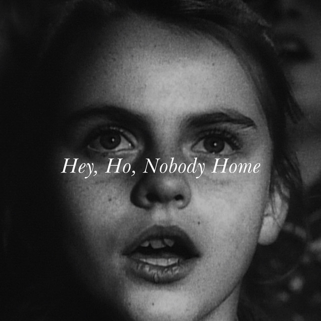 Hey, Ho, Nobody Home cover