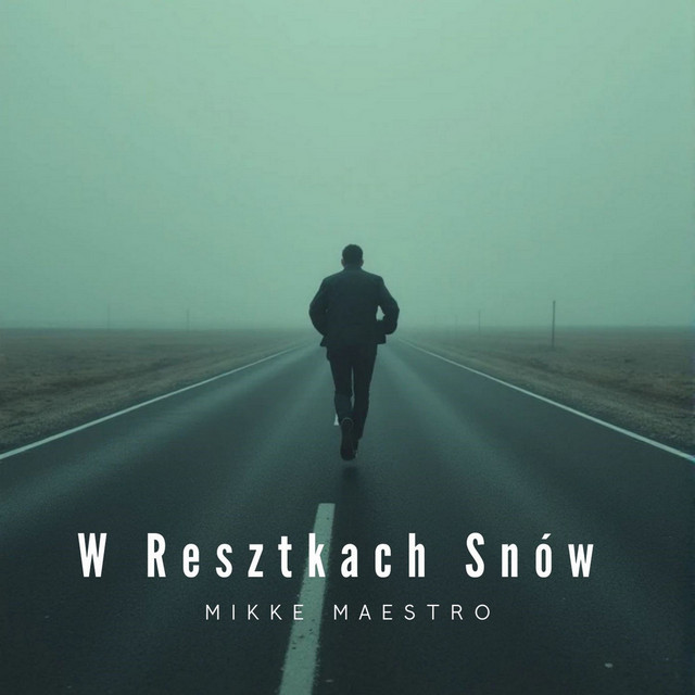 W Resztkach Snow (Radio Edit) cover