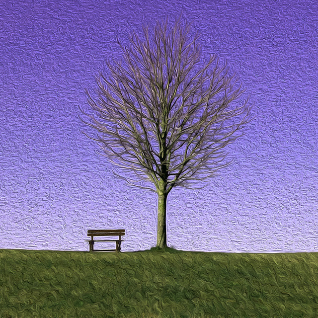 The day, we... cover art