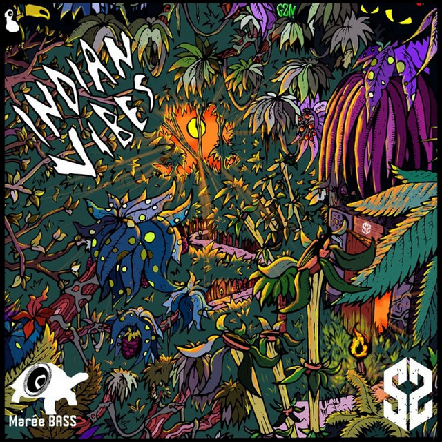 Indian Vibes cover art