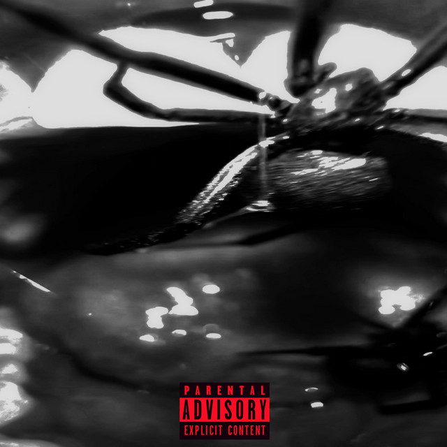 BPM and key for songs by SwgShawty | Tempo for SwgShawty songs ...