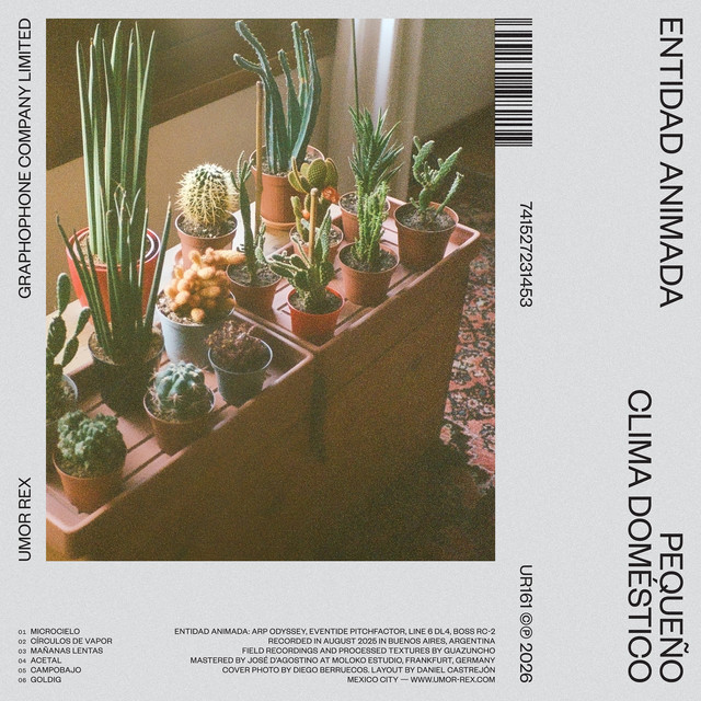 Pequeño clima doméstico cover