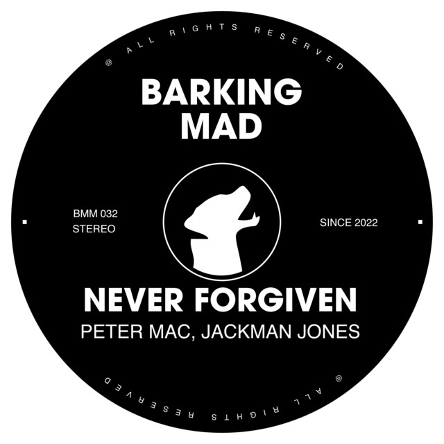 Never Forgiven - Original Mix