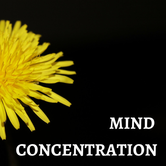Mind Concentration - Songs to Optimize Mental State & Environment cover art